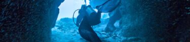 Little Cayman Scuba Diving
