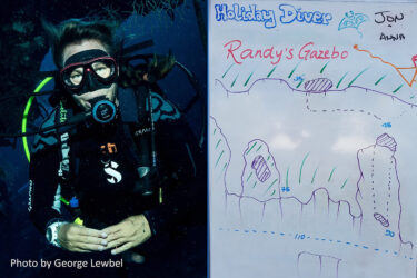 Clearly Cayman Dive Log – Randy’s Gazebo
